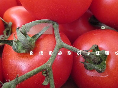 有信用逾期可以注册公司吗