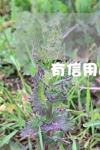 有信用逾期能房贷吗 有信用逾期能房贷吗