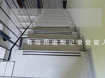 有信用逾期记录会能入党吗 有信用逾期记录会能入党吗