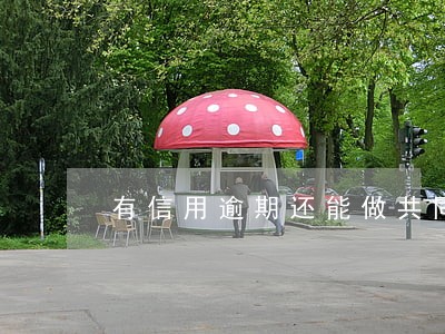 有信用逾期还能做共同还贷人吗 有信用逾期还能做共同还贷人吗