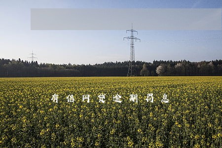 有信网贷逾期罚息 有信网贷逾期罚息