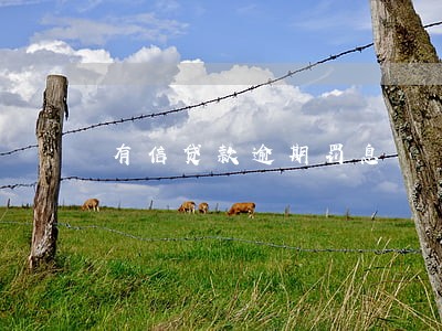 有信贷款逾期罚息 有信贷款逾期罚息