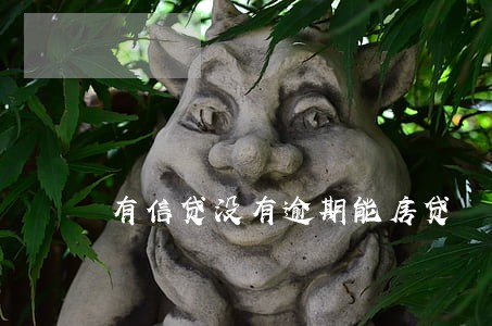 有信贷没有逾期能房贷 有信贷没有逾期能房贷