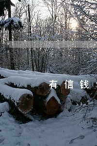 有信钱包查逾期 有信钱包查逾期