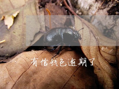 有信钱包逾期了 有信钱包逾期了