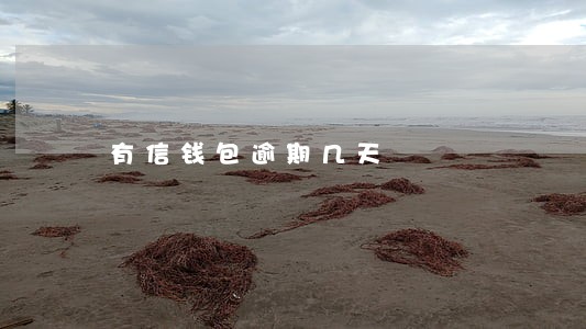 有信钱包逾期几天 有信钱包逾期几天