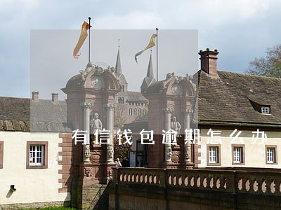 有信钱包逾期怎么办 有信钱包逾期怎么办