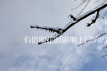 有借呗花呗逾期上门的吗 有借呗花呗逾期上门的吗