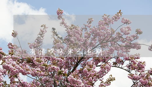 有借呗账单已逾期 有借呗账单已逾期