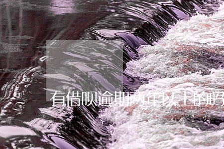 有借呗逾期两年以上的吗 有借呗逾期两年以上的吗