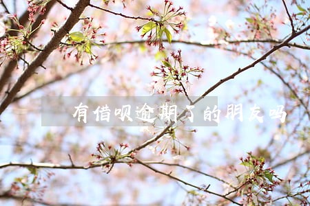 有借呗逾期了的朋友吗 有借呗逾期了的朋友吗