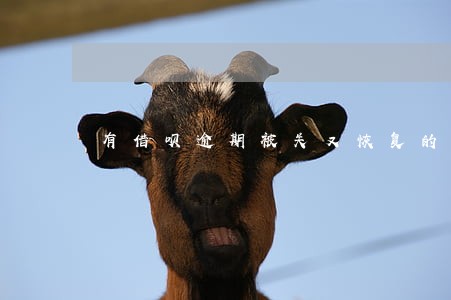 有借呗逾期被关又恢复的吗