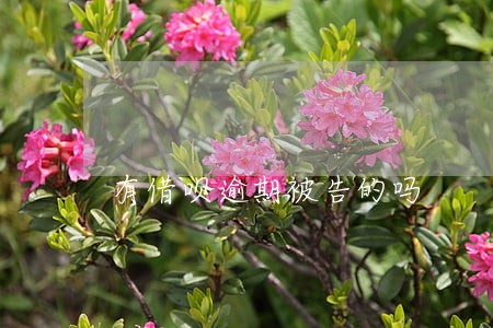 有借呗逾期被告的吗 有借呗逾期被告的吗