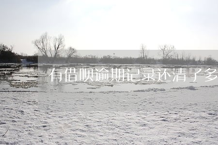 有借呗逾期记录还清了多久梦