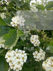 有借宝逾期几天催收 有借宝逾期几天催收