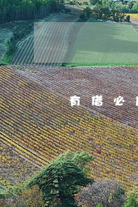 有借必应手机回收逾期怎么办 有借必应手机回收逾期怎么办