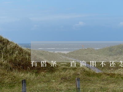 有借条一直逾期不还怎么办 有借条一直逾期不还怎么办