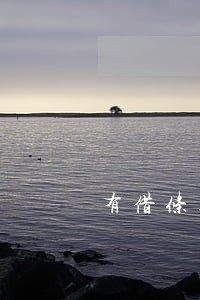 有借条上法院需要律师吗 有借条上法院需要律师吗