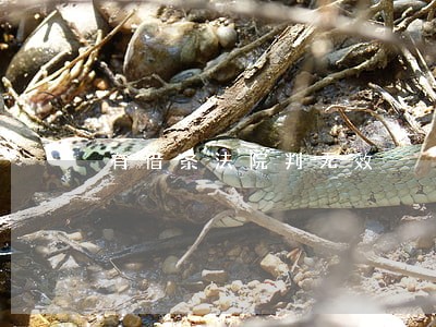 有借条法院判无效