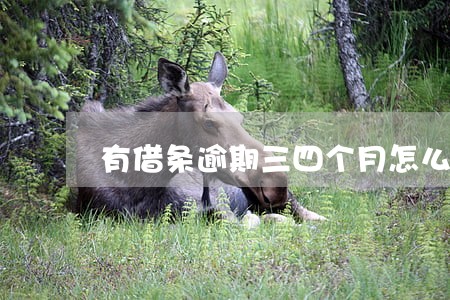 有借条逾期三四个月怎么弄 有借条逾期三四个月怎么弄