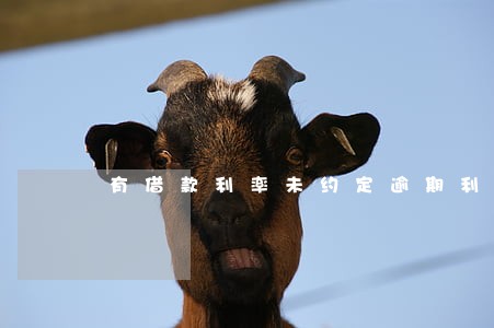 有借款利率未约定逾期利率 有借款利率未约定逾期利率