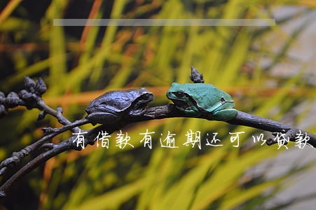 有借款有逾期还可以贷款吗 有借款有逾期还可以贷款吗