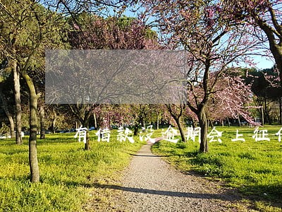 有借款没逾期会上征信么 有借款没逾期会上征信么