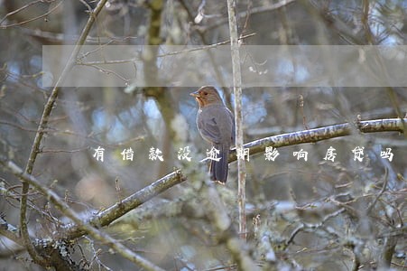 有借款没逾期影响房贷吗 有借款没逾期影响房贷吗