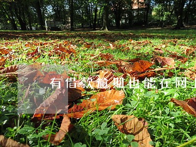 有借款逾期也能在网上借到钱吗 有借款逾期也能在网上借到钱吗