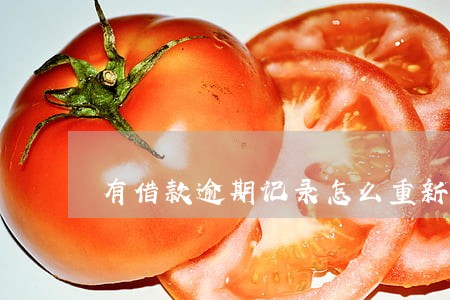 有借款逾期记录怎么重新借钱 有借款逾期记录怎么重新借钱
