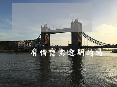 有借贷宝逾期的吗 有借贷宝逾期的吗