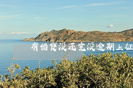 有借贷没还完没逾期上征信吗 有借贷没还完没逾期上征信吗