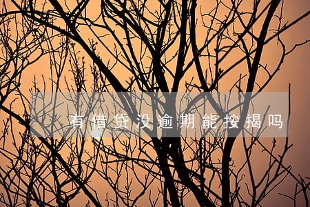 有借贷没逾期能按揭吗 有借贷没逾期能按揭吗