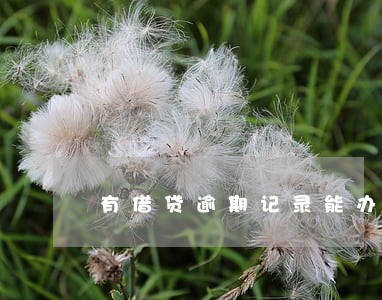 有借贷逾期记录能办贷款吗 有借贷逾期记录能办贷款吗