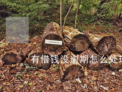 有借钱没逾期怎么处理 有借钱没逾期怎么处理