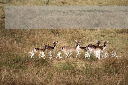 有债务无财产离婚协议