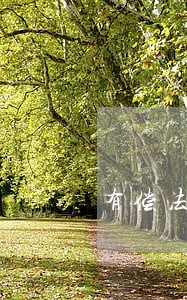 有偿法律咨询价目表 有偿法律咨询价目表