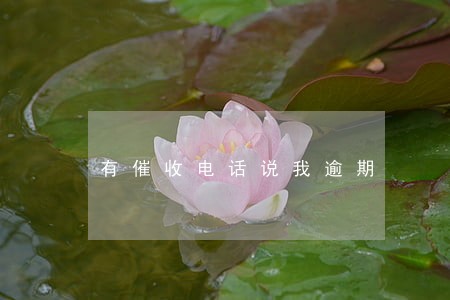 有催收电话说我逾期