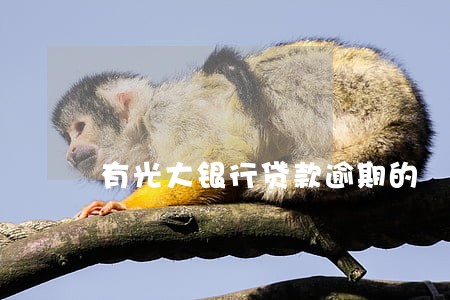 有光大银行贷款逾期的 有光大银行贷款逾期的