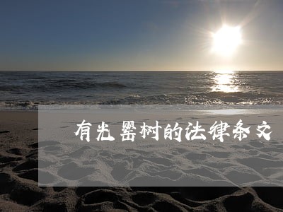 有光罂树的法律条文