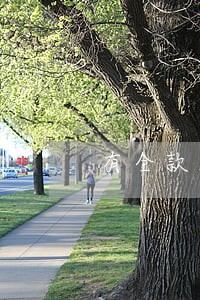 有全款房有逾期可以贷款吗 有全款房有逾期可以贷款吗