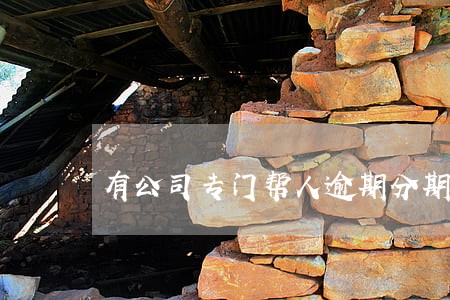 有公司专门帮人逾期分期吗