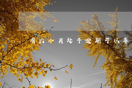 有六个月处于逾期可以车贷吗 有六个月处于逾期可以车贷吗
