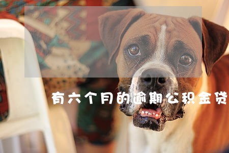 有六个月的逾期公积金贷款吗 有六个月的逾期公积金贷款吗
