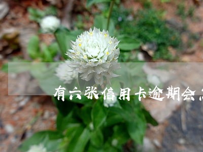 有六张信用卡逾期会怎么样 有六张信用卡逾期会怎么样