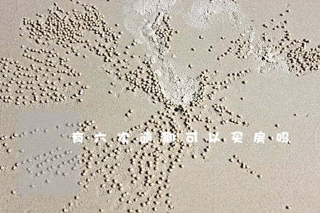 有六次逾期可以买房吗 有六次逾期可以买房吗