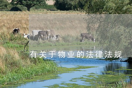 有关于物业的法律法规 有关于物业的法律法规
