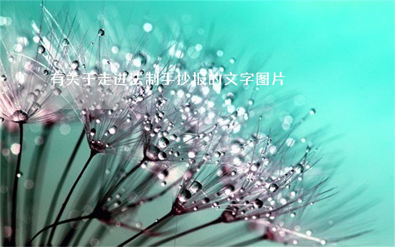 有关于走进法制手抄报的文字图片 有关于走进法制手抄报的文字图片