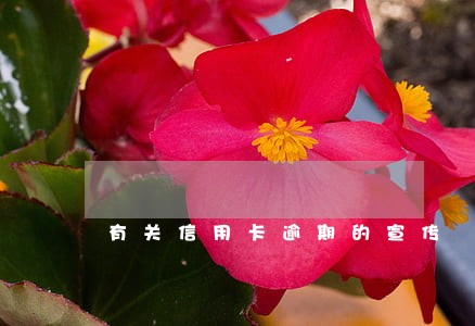 有关信用卡逾期的宣传 有关信用卡逾期的宣传