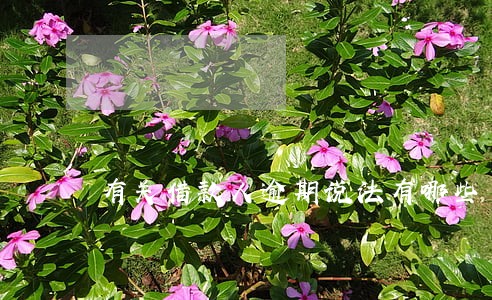 有关借款人逾期说法有哪些 有关借款人逾期说法有哪些